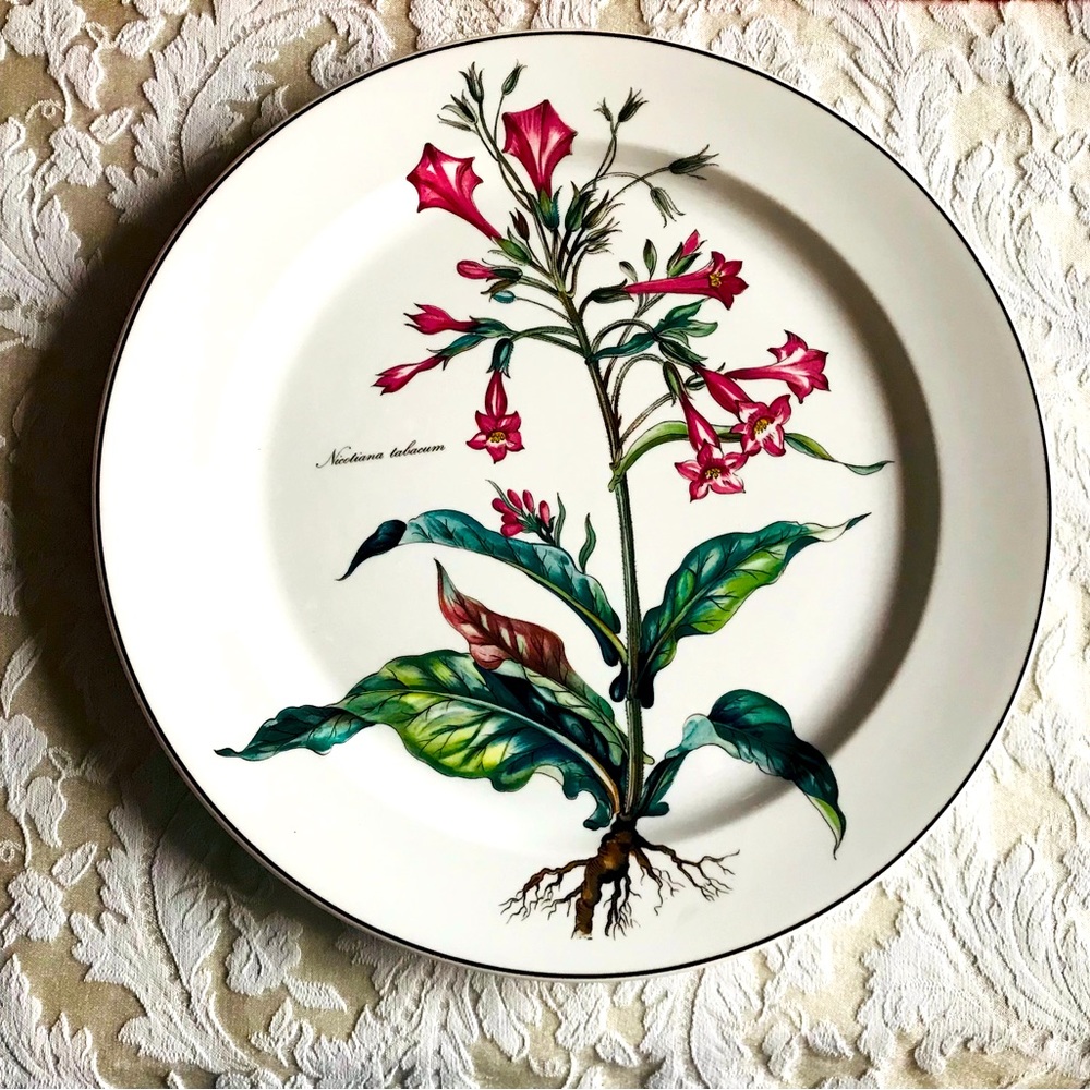 🆕Villeroy&Boch Botanica Porcelain Oversized Dinner Plate 12.5"